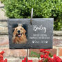 Pet Memorial Photo Printed Garden Slate Tag Wire Holder, thumbnail 1 of 4