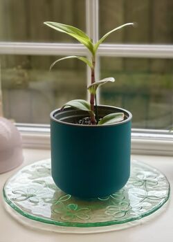 3D Printed Curved Plant Pot – Gardening Gifts, 6 of 9