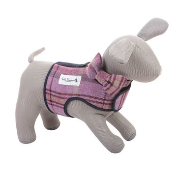 Shetland Wool Dog Harness, 3 of 5