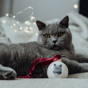 Cat Portrait Christmas Bauble. Gift For Cat Lover, 2 of 5