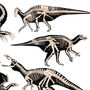 Colourful Dinosaurs Print, thumbnail 10 of 12