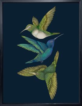 'Antique Hummingbirds Iii Indigo' Fine Art Print, 2 of 5