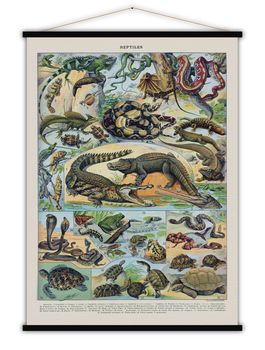 Children's Cotton Reptiles Print In French, 2 of 3
