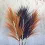 Purple Rayung Pampas Grass Set, thumbnail 7 of 8