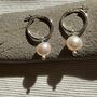 Pearl Huggie Hoop Earrings With White Freshwater Pearls, thumbnail 1 of 3