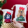 Personalised Party Dog Xmas Treat And Gift Bag, thumbnail 9 of 11