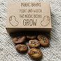 Personalised Magic Beans In Gift Box, thumbnail 5 of 5