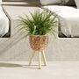 Wicker Planter Basket For Indoor And Outdoor, thumbnail 1 of 6