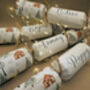 Set Of Six Personalised Plantable Christmas Crackers, thumbnail 5 of 6