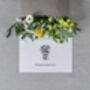 'Congratulations' Fresh Flower And Card Letterbox Gift, thumbnail 5 of 11