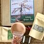 Autumn Bonsai Tree Beaded Craft Kit, thumbnail 3 of 5