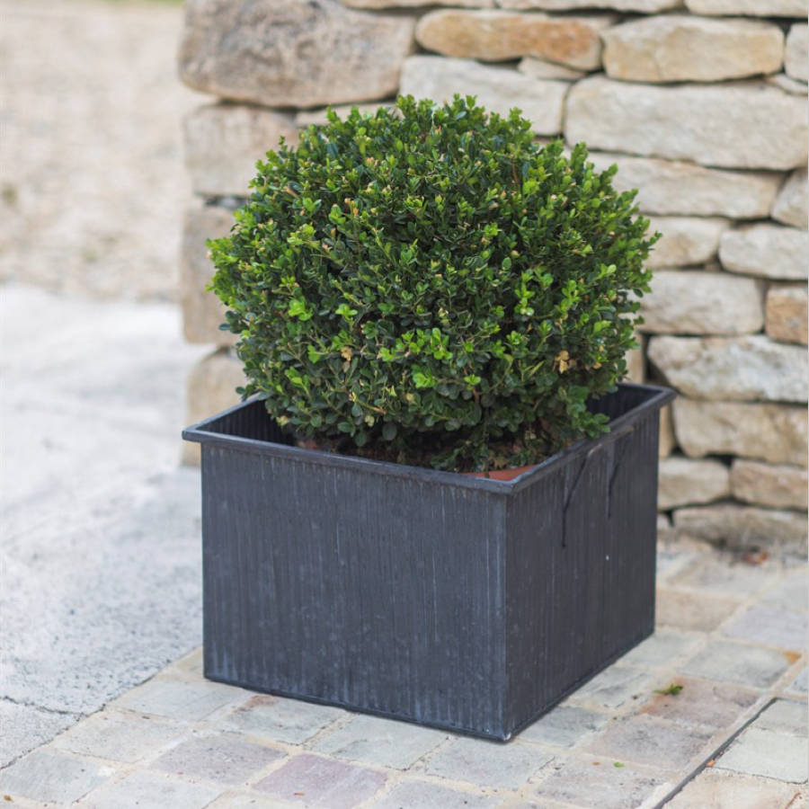 Square Planter By All Things Brighton Beautiful | notonthehighstreet.com