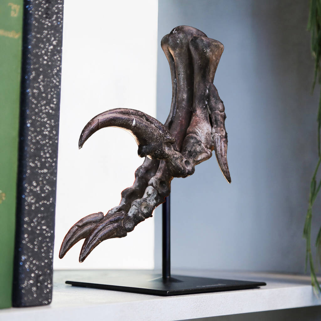 Velociraptor Dinosaur Killing Claw Painted 3D Model Gifts For Him, 1 of 4
