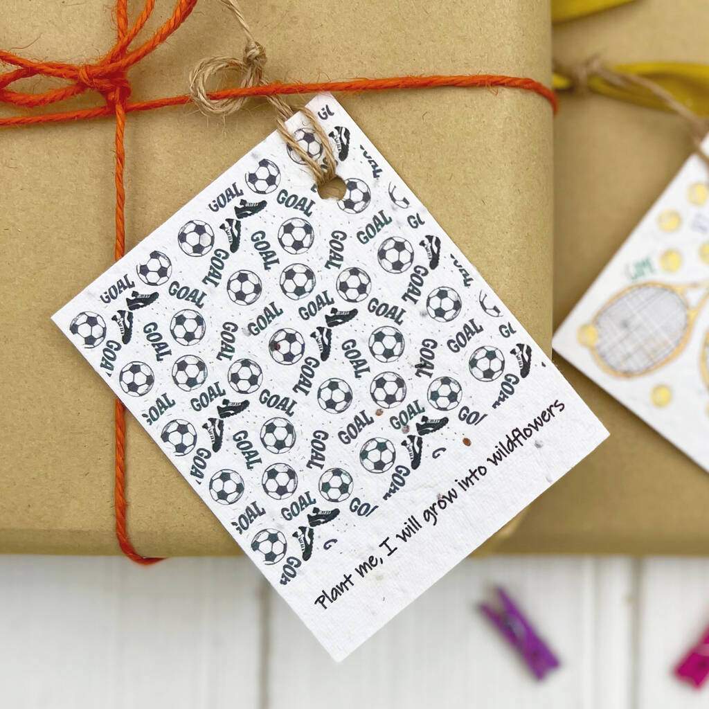 Football Seed Gift Tags, 1 of 2