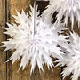 Classic White Paper Snowflakes Assorted, thumbnail 5 of 7