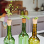 Bottle Top Terracotta Herb Planters, thumbnail 1 of 7
