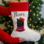 Personalised Christmas Party Cat Present Stocking, thumbnail 1 of 4