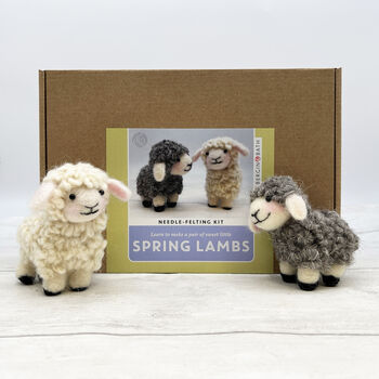 Needle Felting Kit Spring Lambs, 10 of 11