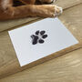 Pet Safe Non Toxic Paw Print Ink Pad Kit, thumbnail 4 of 8