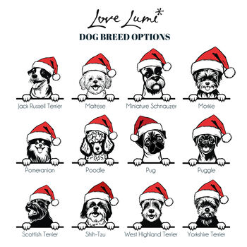 Personalised Santa Paws Pet Dog Breed Christmas Red T Shirt, 2 of 3