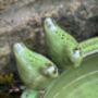 Round Green Ceramic Bird Bath With Two Love Birds, thumbnail 5 of 8