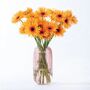 Yellow Spider Gerbera Fresh Flower Bouquet, thumbnail 1 of 3