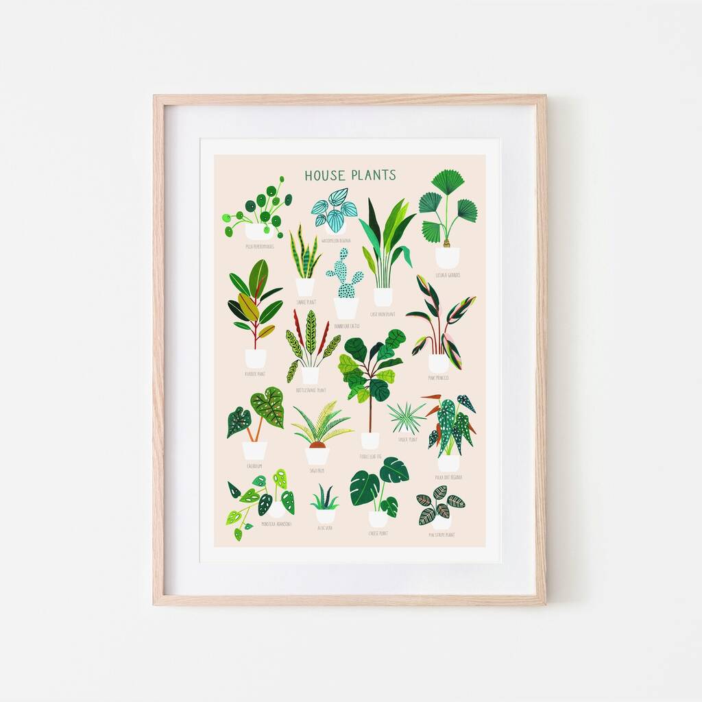 House Plant Print, 1 of 7