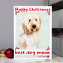 Personalised 'Buddy' Dog Christmas Card, thumbnail 5 of 8