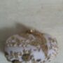 Pink Bird Oval Clutch Bag, thumbnail 8 of 12