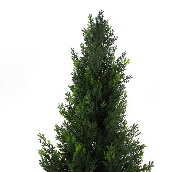 120cm Uv Protected Artificial Cedar Cypress Topiary, 2 of 5