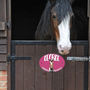 Personalised Stable Door Name Plaque Oval Horse Head, thumbnail 1 of 9