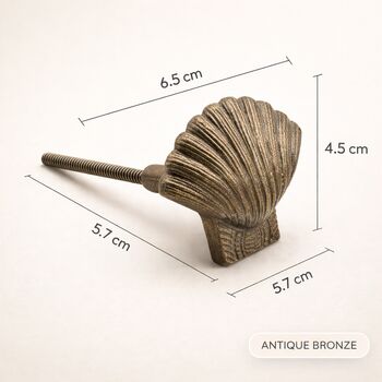 Ocean Inspired Brass Seashell Knob, 6 of 8