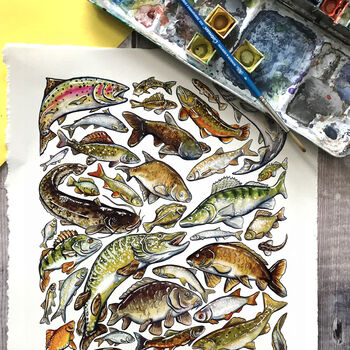 Freshwater Fish Species Wrapping Paper Set, 9 of 12