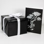Chinese Redbud Bonsai Tree Starter Kit, thumbnail 6 of 10