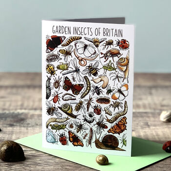 Wildlife Of Britain Greeting Cards Pack Volume Three, 9 of 10