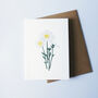 'Oxeye Daisy' Greetings Card, thumbnail 3 of 3