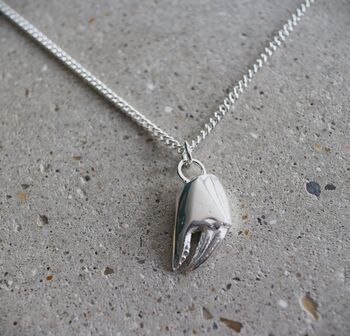 Sterling Silver Large , Crab Claw Pendant Necklace, 3 of 6