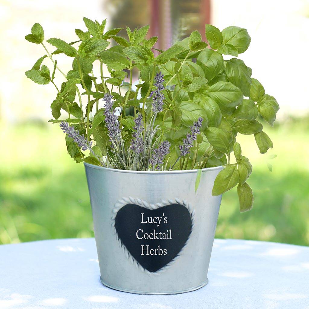 Personalised Grow Your Own Cocktail Garden Herb Planter By Dibor