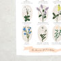 Friendship Language Of Flowers Print, thumbnail 4 of 4