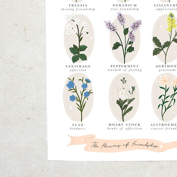 Friendship Language Of Flowers Print, 4 of 4