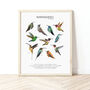 Hummingbirds Print, thumbnail 1 of 3