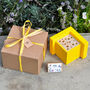 Mini Bee House Garden Gift Set, thumbnail 1 of 7
