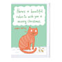 Mixed Pack Of 10 Or 20 Illustrated Christmas Cards, thumbnail 5 of 12