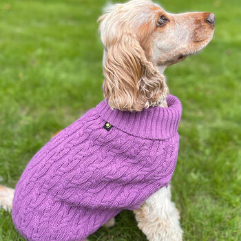 Plain Knitted Purple Dog Jumper, 3 of 5