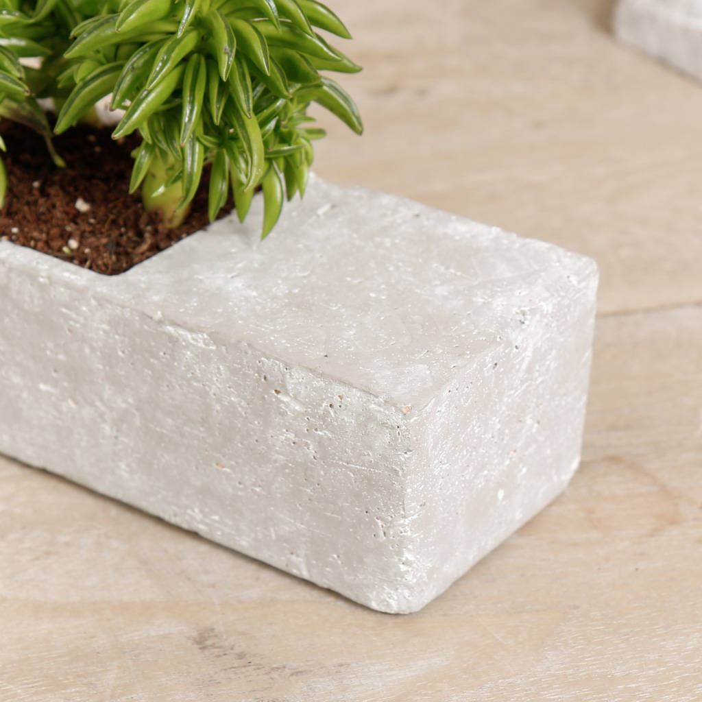 Tanga Concrete Effect Tabletop Planter Box By Dibor