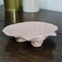 Scallop Shell Soap Dish In Pink, thumbnail 4 of 4
