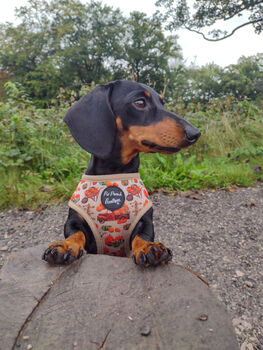 Pumpkin Patch Cart Dog Harness, 10 of 11