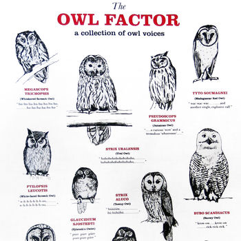 Owl Factor Tea Towel, 3 of 3