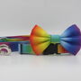 Rainbow Ombré Dog Collar And Lead Accessory Set, thumbnail 5 of 12