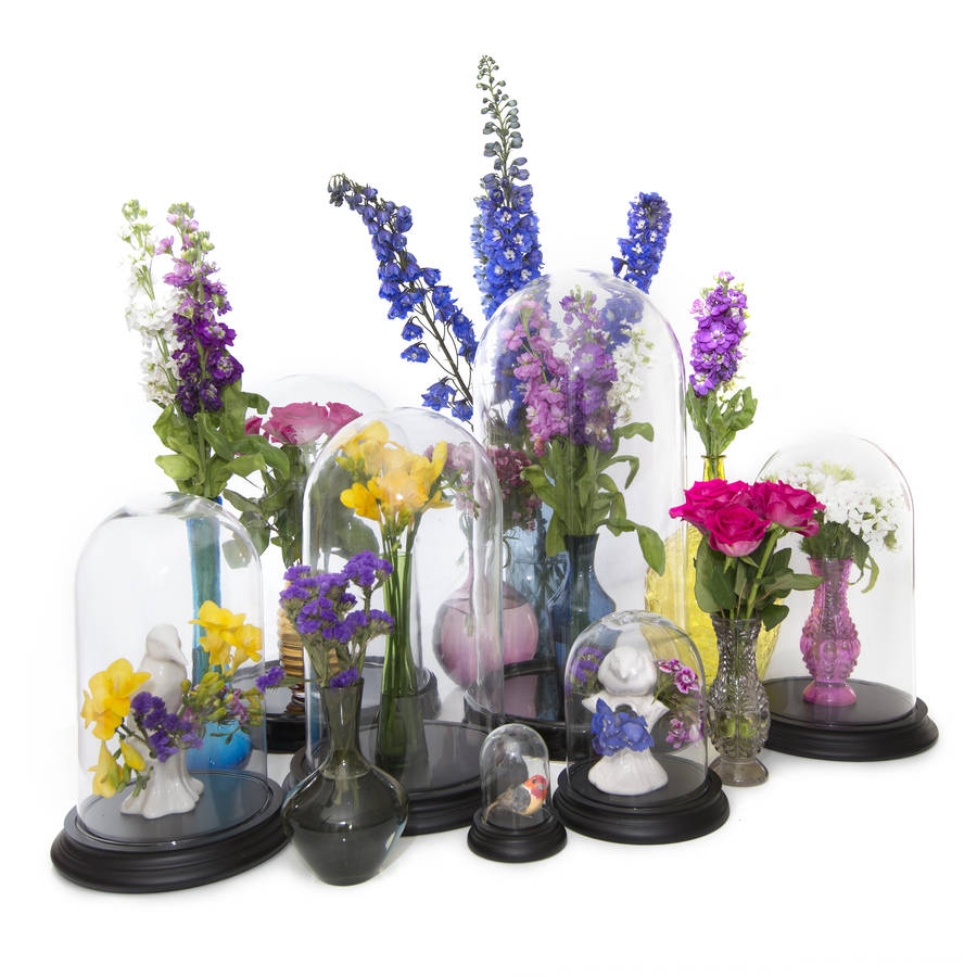 glass dome bell jar with ceramic base by i love retro